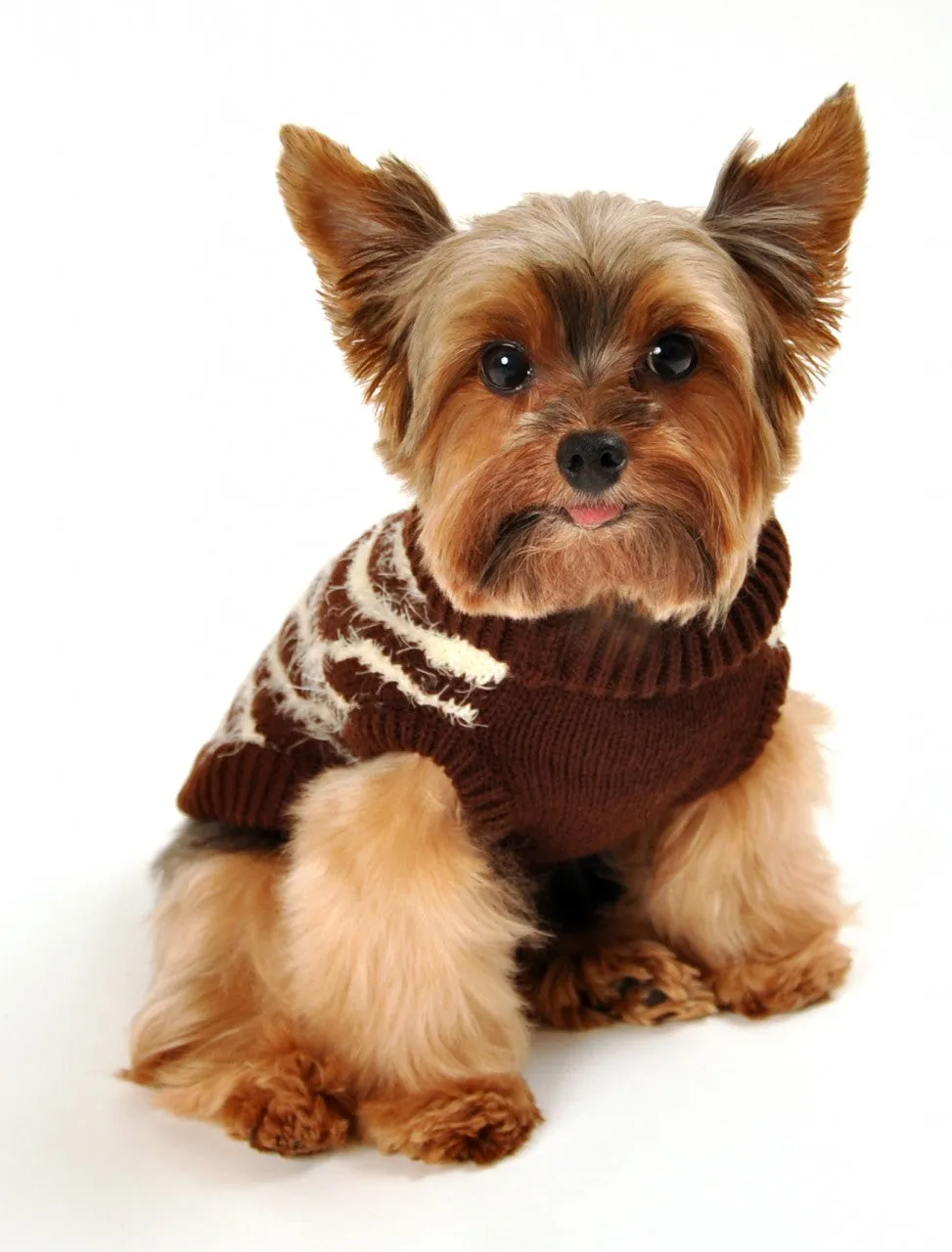 BROWN ZEBRA FEATHER-SOFT DOG SWEATER